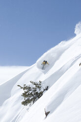 Männlicher Snowboarder bei einem Powder-Turn, Wasatch Mountains, Utah. - AURF01356