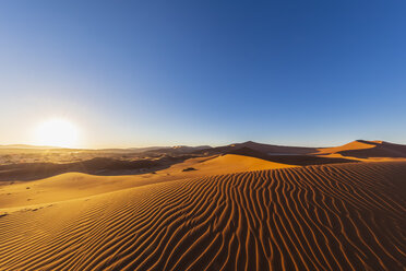 Africa, Namibia, Namib desert, Naukluft National Park, sand dunes against the morning sun - FOF10091