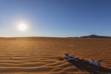 Afrika, Namibia, Namib-Wüste, Naukluft-Nationalpark, Sanddüne, Skelett im Sand, in der Morgensonne - FOF10094