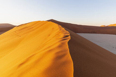 Afrika, Namibia, Namib-Wüste, Naukluft-Nationalpark, Deadvlei und Sanddünen im Morgenlicht - FOF10103