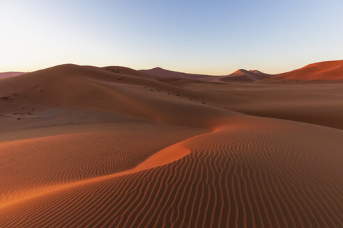 Africa, Namibia, Namib desert, Naukluft National Park, sand dune in the morning light at sunrise - FOF10107