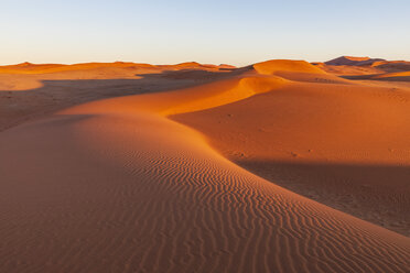 Afrika, Namibia, Namib-Wüste, Naukluft-Nationalpark, Sanddüne im Morgenlicht bei Sonnenaufgang - FOF10108