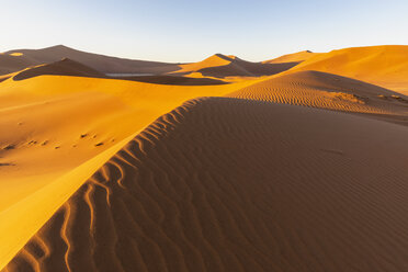 Africa, Namibia, Namib desert, Naukluft National Park, Dead Vlei and sand dune 'Big Daddy' - FOF10110