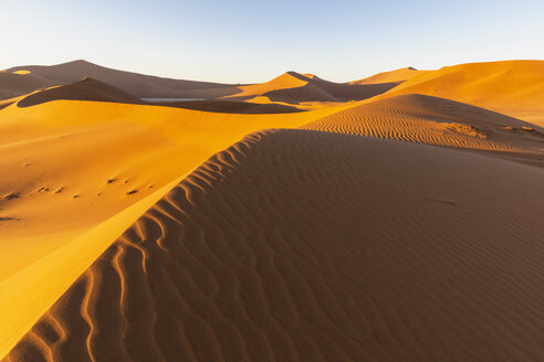 Afrika, Namibia, Namib-Wüste, Naukluft-Nationalpark, Dead Vlei und Sanddüne 'Big Daddy' - FOF10110