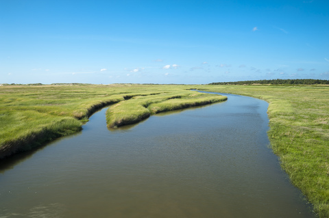 Deutschland, Schleswig-Holstein, Sankt Peter-Ording, Salzwiese bei Flut, lizenzfreies Stockfoto