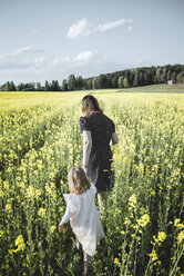 Back view of little girl walking with her mother in rape field - PSIF00011