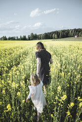 Rückenansicht eines kleinen Mädchens, das mit seiner Mutter im Rapsfeld spazieren geht - PSIF00011