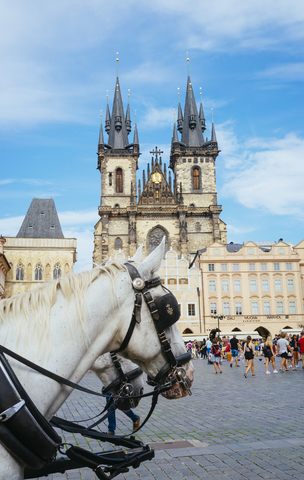 Tschechien, Prag, Pferdekutsche über den Altstädter Ring mit der Frauenkirche im Hintergrund, lizenzfreies Stockfoto