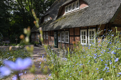 Deutschland, Lüneburger Heide, traditionelles Fachwerkhaus - FDF00234