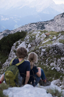 Österreich, Bundesland Salzburg, Loferer Steinberge, Bruder und Schwester auf Wanderschaft in den Bergen, Begegnung mit einem Steinbock - HAMF00363