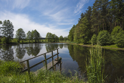 Deutschland, Oberpfalz, Rußweiher - FDF00238