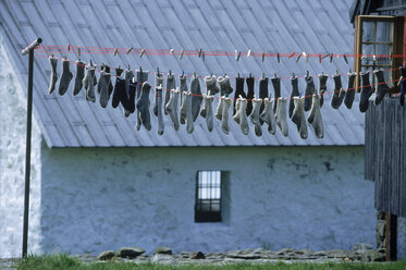 Socken auf einer Wäscheleine zum Trocknen aufgehängt, Färöer Inseln, Dänemark - AURF01393