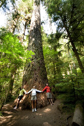 Three people holding hands around the base of a large old growth tree. - AURF01409