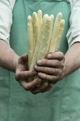 Man holding bundle of organic green asparagus in hands - ASF06206