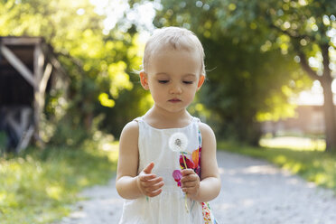 Niedliches kleines Mädchen hält Pusteblume im Freien - DIGF05010