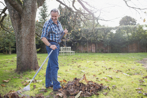 Älterer Mann harkt Herbstblätter im Hinterhof, lizenzfreies Stockfoto