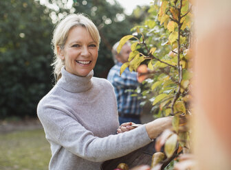 Porträt einer lächelnden, selbstbewussten reifen Frau, die im Garten Äpfel erntet - HOXF03696