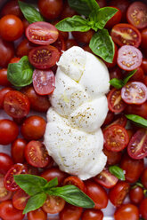 Italienisches Essen, Caprese, Mozzarella, Tomaten und Basilikum - GIOF04233
