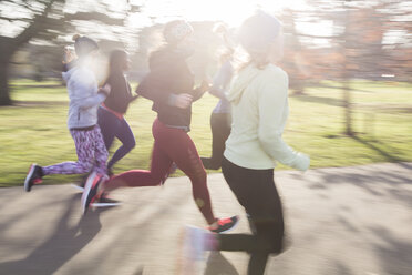 Läuferinnen laufen im sonnigen Park - CAIF21581