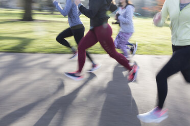 Läuferinnen in Bewegung, Laufen im Park - CAIF21594