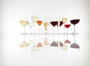 Verschiedene Gläser mit Wein, Prosecco und Champagner - KSWF01968