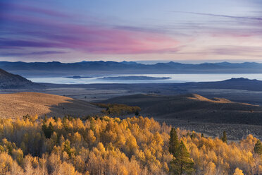 Gelbe Herbstapfelbäume und Mono Lake und der Sonnenaufgang in Kalifornien - AURF01542