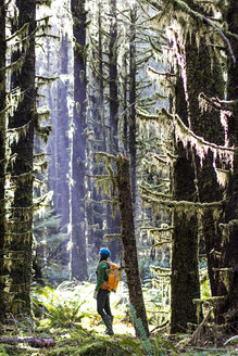 Frau steht und schaut zu den hohen Bäumen des Hoh Rainforest, WA - AURF01624