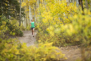 Frau Trail Running an einem sonnigen Herbsttag - AURF01650