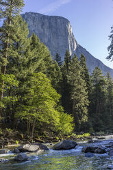 Yosemite National Park - AURF01657