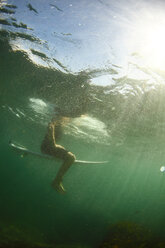 Unterwasseransicht eines Surfers in grünem Wasser, der auf einem Surfbrett sitzt. - AURF01669