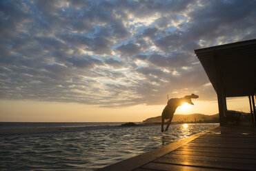 Woman diving to a pool at a small hotel in the coast of Oaxaca, Mexico. - AURF01690