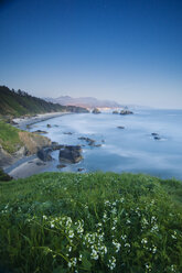 Blick auf Strand, Wildblumen und die Lichter der Stadt in der Abenddämmerung unterhalb von Ecola Point, Ecola State Park, Oregon. - AURF01694