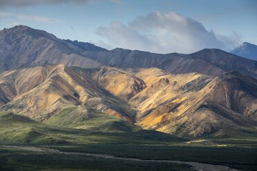 View of the famous polychrom pass in Denali National Park - AURF01717