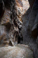 Die Narrows im Zion National Park sind nach wie vor eine der beliebtesten Wanderungen. - AURF01748