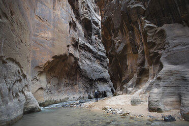 Die Narrows im Zion National Park sind nach wie vor eine der beliebtesten Wanderungen. - AURF01749