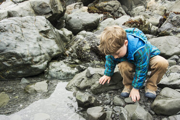 Toddler boy explores tide pool at Patrick's Point State Park, California. - AURF01766