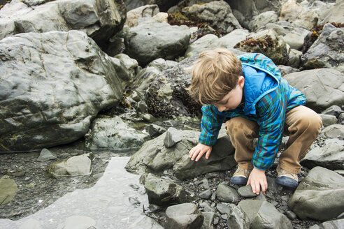 Ein kleiner Junge erkundet das Gezeitenbecken im Patrick's Point State Park, Kalifornien. - AURF01766