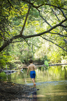 Ein kleiner Junge sucht mit einem Netz am Bach im Bidwell Park in Chico, Kalifornien, nach Pollywogs. - AURF01770