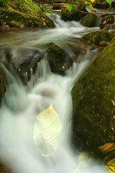 Der Fluss Somiedo in Asturien, Naturpark Somiedo in Asturien, Spanien - AURF01776