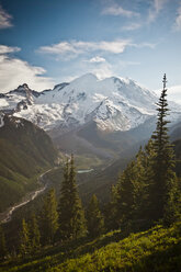 Die Nordwand des Mount Ranier und der Winthrop-Gletscher im Mount Ranier National Park - AURF01789