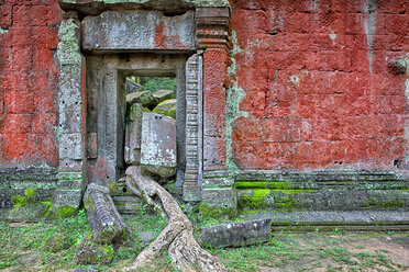 Ta Phrom-Tempel und gigantische Bäume und Wurzeln - AURF01867
