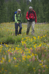 Ein Paar wandert durch ein Feld voller Wildblumen. - AURF01938
