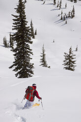 Ein Skitourengeher in der Nähe von Ymir, British Columbia. - AURF01959