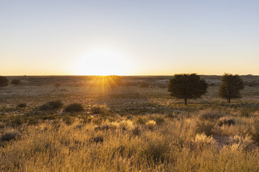 Botswana, Kgalagadi Transfrontier Park, Kalahari, Landschaft bei Sonnenaufgang - FOF10192