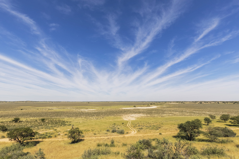 Afrika, Botsuana, Kgalagadi Transfrontier Park, Kalahari, Polentswa Pan und Wasserloch, lizenzfreies Stockfoto