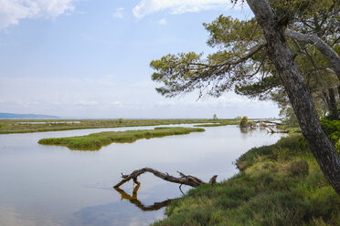 Albania, Divjake-Karavasta National Park, Lagoon of Karavasta - SIEF07907