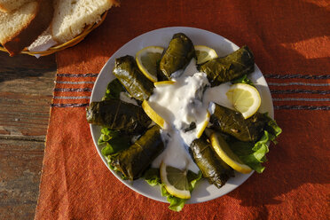 Albania, Japrak, stuffed vineleaves on plate - SIEF07919