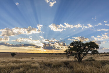Afrika, Botsuana, Kgalagadi Transfrontier Park, Mabuasehube Game Reserve, Mabuasehube Pan bei Sonnenaufgang - FOF10203