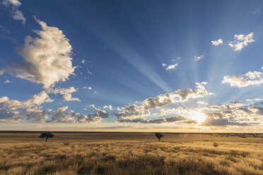 Afrika, Botsuana, Kgalagadi Transfrontier Park, Mabuasehube Game Reserve, Mabuasehube Pan bei Sonnenaufgang - FOF10204