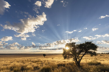 Afrika, Botsuana, Kgalagadi Transfrontier Park, Mabuasehube Game Reserve, Mabuasehube Pan bei Sonnenaufgang - FOF10205